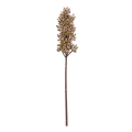 Artificial Sorghum Sunrise with a tall brown stem and dense cluster of blush, bronze and muted green seed-like florets.