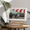 Boulders Beach Penguin Signed Print