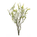 Boxwood Stem 18"