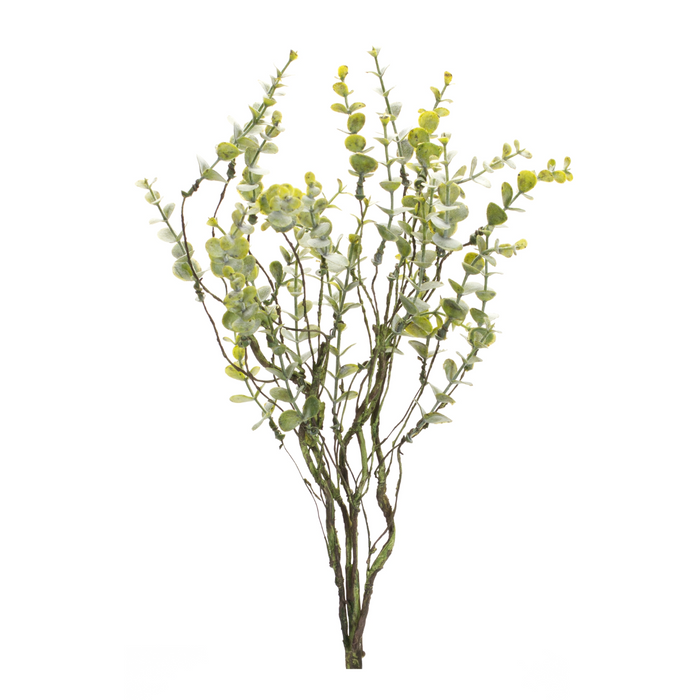 Boxwood Stem 18"