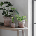 Bratton Planter