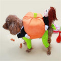 Carrying Jack Oh! Lantern Pet Costume