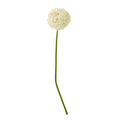 Cream Giant Allium Stem
