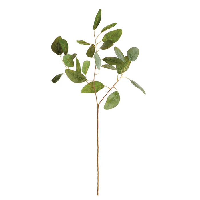 Eucalyptus Stem 24"