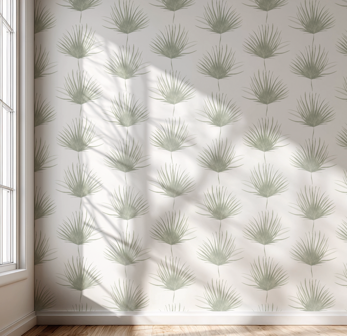 Fan Palm Wallpaper