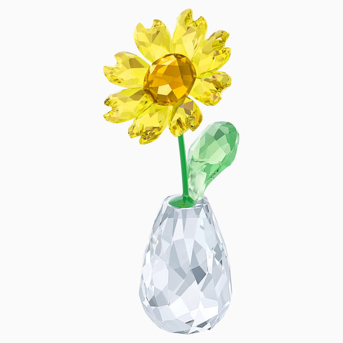 FLOWER DREAMS - SUNFLOWER