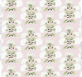 Hydrangea Bloom in Garden on Blush Wallpaper