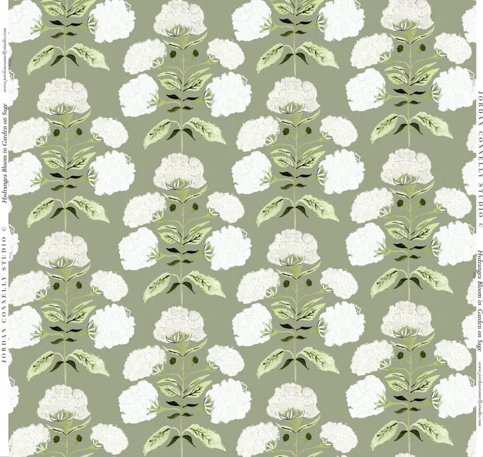 Hydrangea Bloom in Garden on Sage Wallpaper