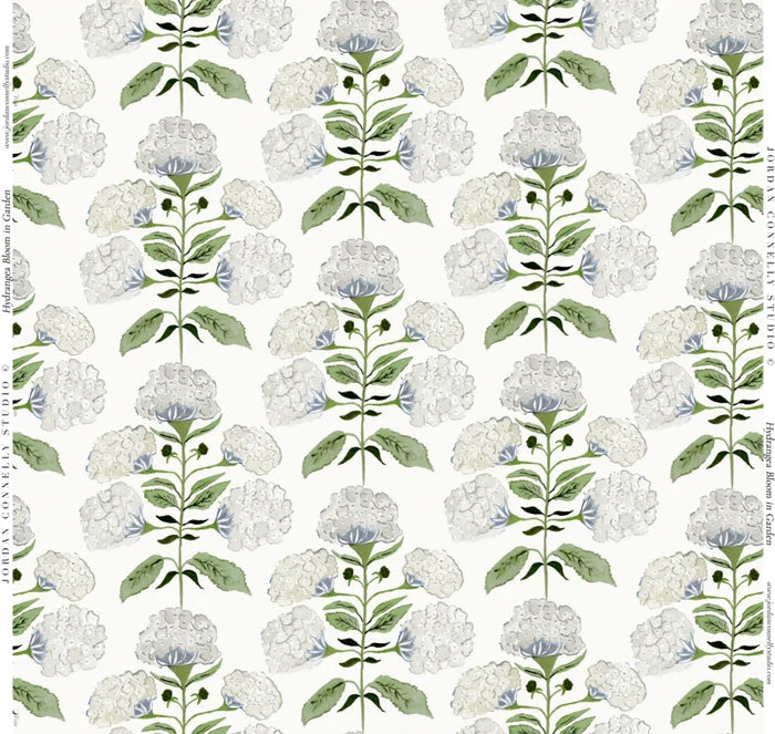 Hydrangea Bloom in Garden Wallpaper