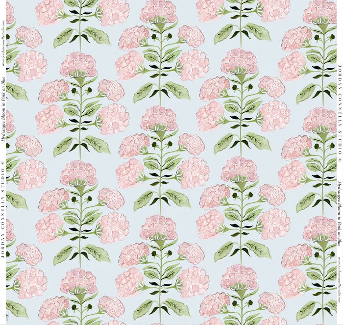 Hydrangea Bloom in Pink on Blue Wallpaper