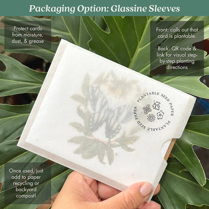 I Only Have Eyes for You Spider | Plantable Herb Seed Card