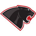 Mascot-Hyde Park Panther