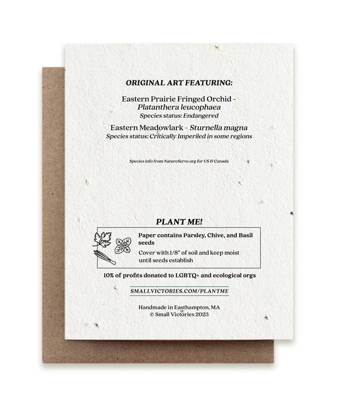 Meadowlark & Prairie Orchid | Plantable Herb Seed Card