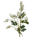 Milk Thistle Bud Spray