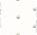 Mini Fan Palm Wallpaper