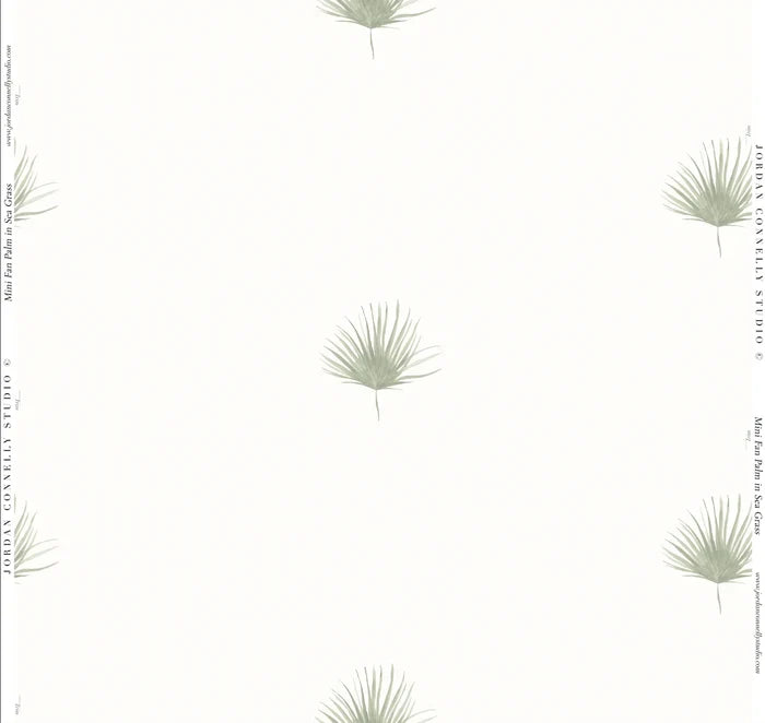 Mini Fan Palm Wallpaper
