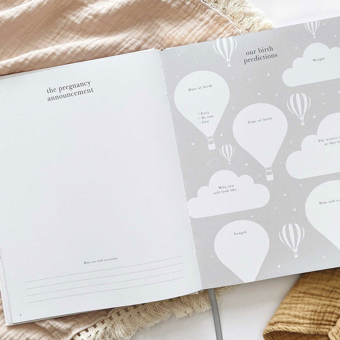 My Pregnancy Journal, Lullaby Baby