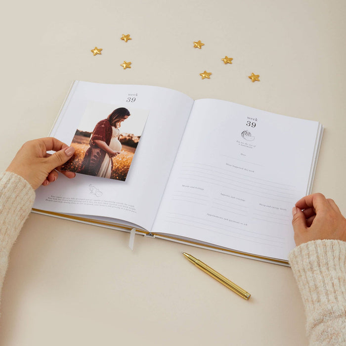My Pregnancy Journal, Lullaby Baby