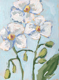 Orchids 1 PRINT