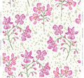 Orchids for Parker in Cream Wallpaper