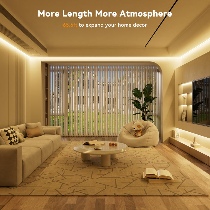 PAUTIX 24V COB LED Strip Lights Kit, 65.6ft/20m,3000K,Work with Alexa/Google Assistant