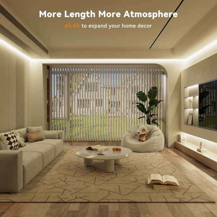 PAUTIX 24V COB LED Strip Lights Kit, 65.6ft/20m,4000K,Work with Alexa/Google Assistant