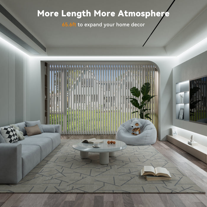 PAUTIX 24V COB LED Strip Lights Kit, 65.6ft/20m,6000K,Work with Alexa/Google Assistant