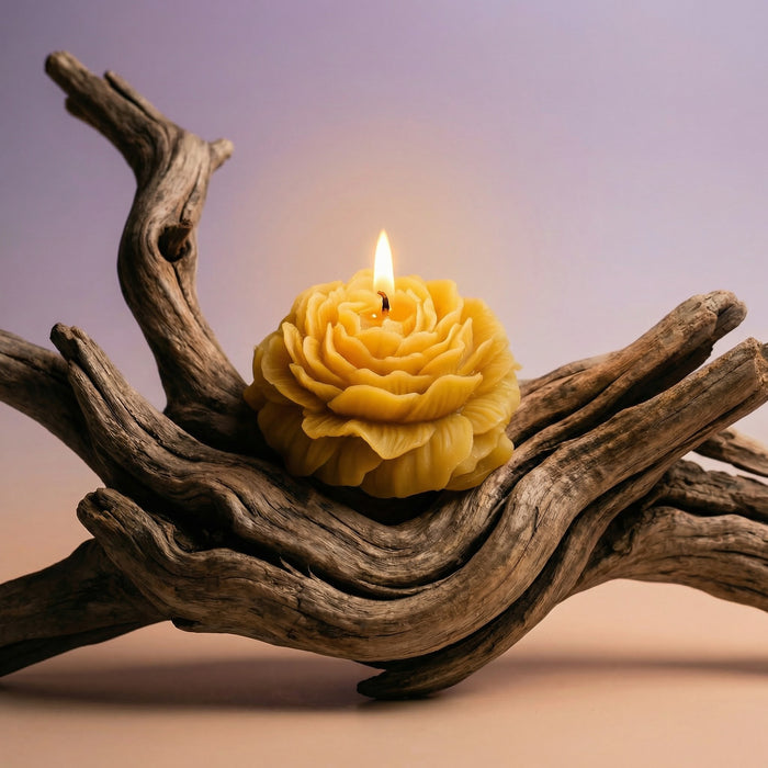 Peony shaped candle glowing on driftwood, showcasing its sculptural design and warm, inviting color.