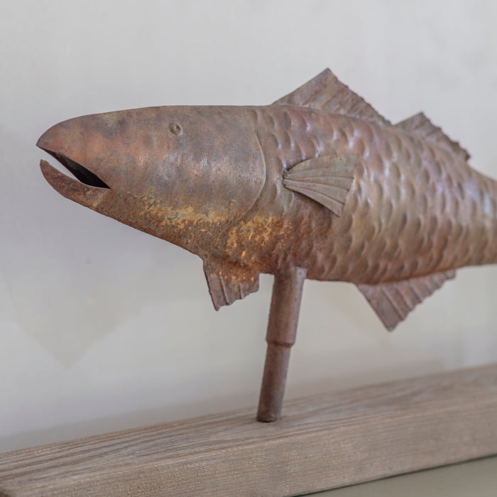 Petworth Fish Sculpture