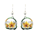 Plumeria