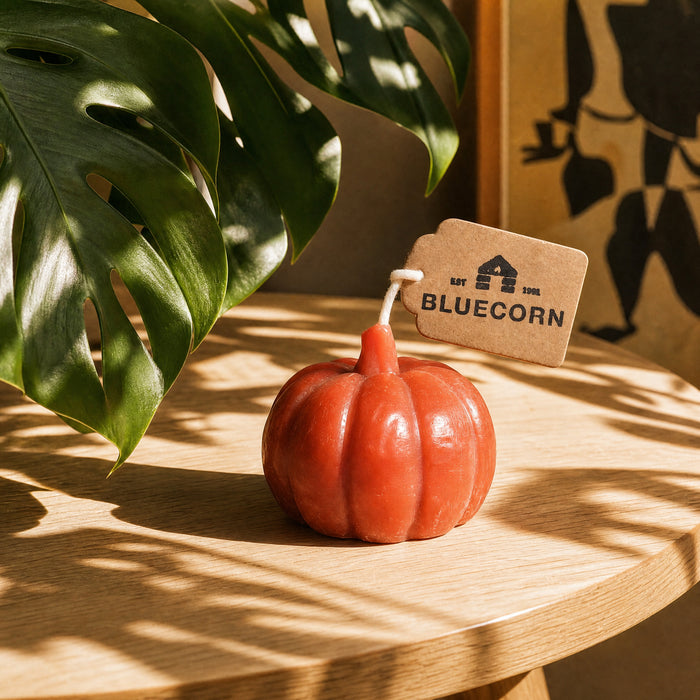 Beeswax pumpkin shaped candles in terracotta, black and lilac styled with fall decor