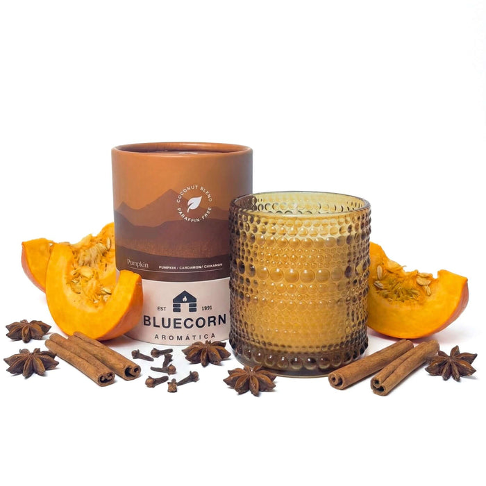 Pumpkin spice candle surrounded by pumpkin slices, cinnamon sticks, and star anise, showcasing autumn scents.
