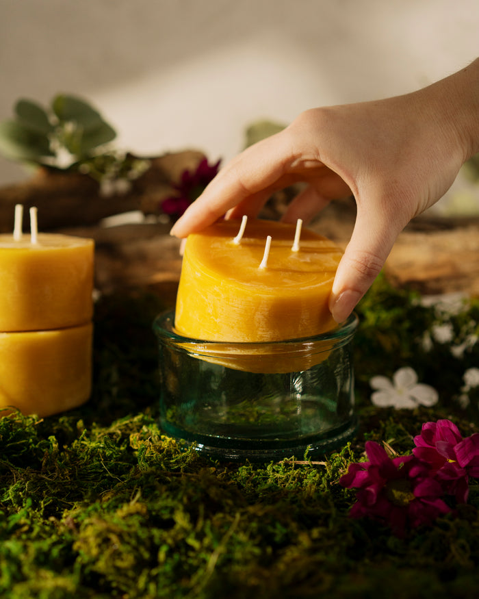 A 100% recycled 3-wick Spanish glass candle jar on top of moss with a pure beeswax refill being inserted into the glass surrounded by flowers and moss. There are two other refill candles in the background
