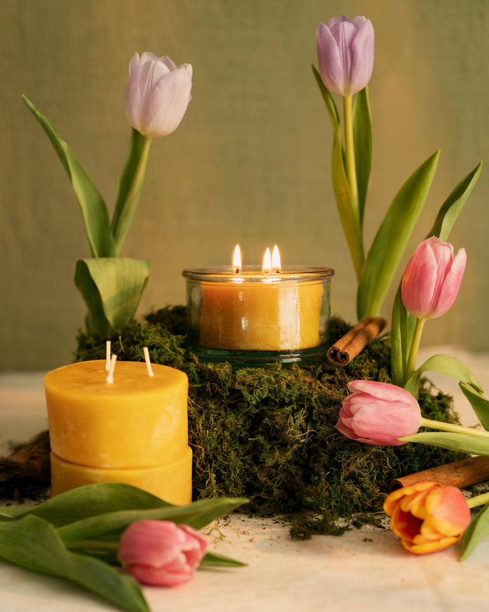 A 100% recycled 3-wick Spanish glass filled candle jar burning on top of moss. There are two refill candles sitting next to the burning candle that are surrounded by pink tulips and cinnamon sticks.
