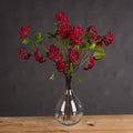 Red Autumnal Viburnum