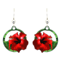 Red Hibiscus