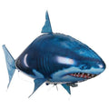 Shark