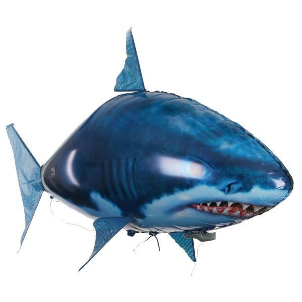 Shark