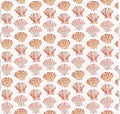 Scallops in White- Fabric