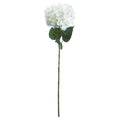 Single White Hydrangea