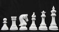 Slightly Imperfect The Staunton Series Chess Pieces in Painted Wood & Painted Boxwood - 4.5" King