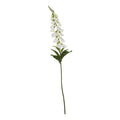 The Natural Garden Collection White Foxglove