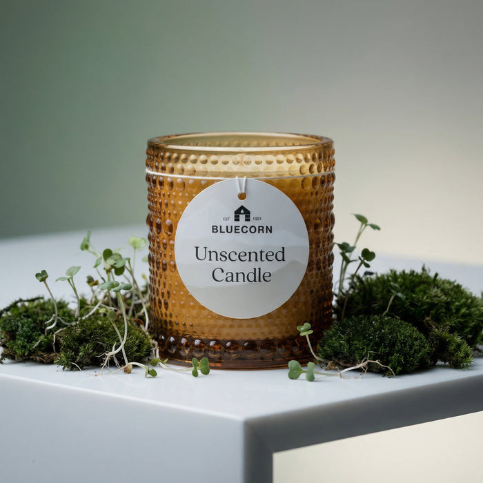 Unscented Coconut Wax Candles in amber glass with cotton wick surrounded by green moss.