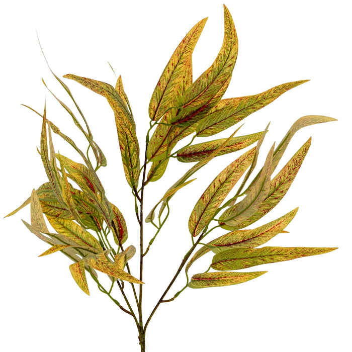 Variegated Long Leaf Eucalyptus Spray