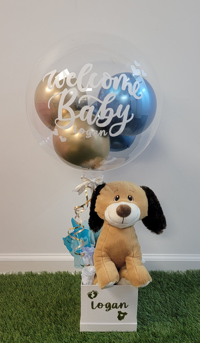 Welcome Baby Box Dog