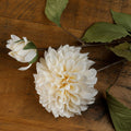White Dahlia Stem