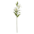 White Madonna Lily Spray